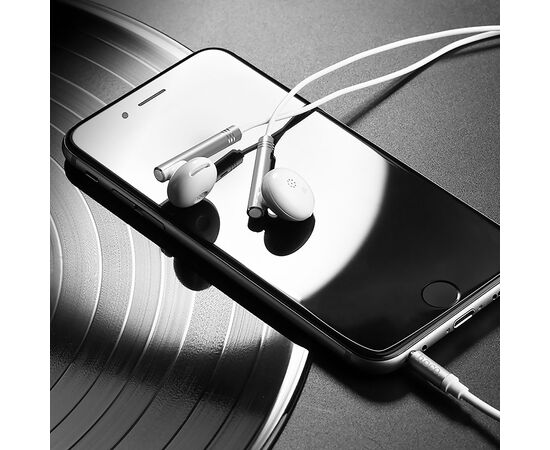  Проводные наушники с микрофоном вкладыши Hoco M22 Spirited Rhyme, 3.5 Jack (silver) 