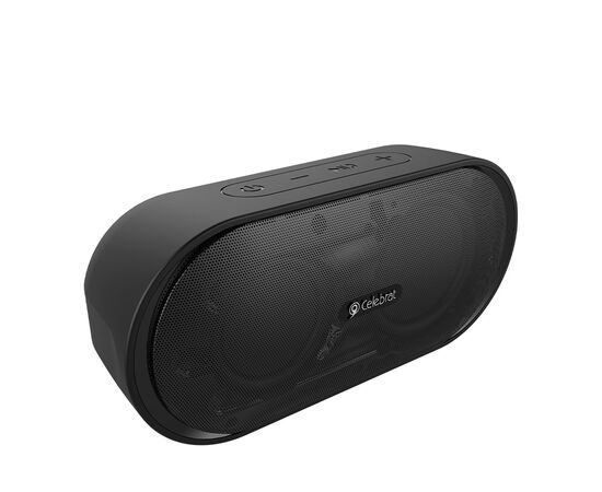  Колонка Bluetooth 4.2 2*3W Celebrat SP-2 (Black) 