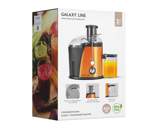  Соковыжималка GALAXY GL 0814 