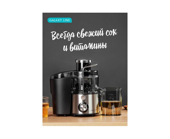  Соковыжималка Galaxy Line GL 0810 серебристый 